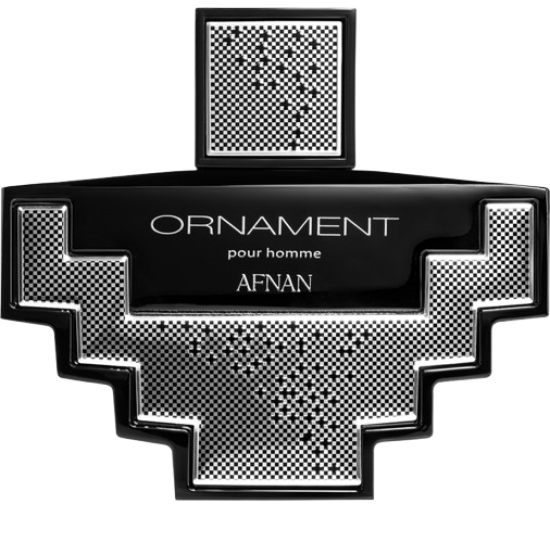 Afnan Ornament Pour Homme EDP M 100 ml
