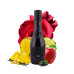 Riiffs Prive Noir EDP M 100 ml