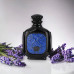 Zimaya Zukhruf Black EDP M 100 ml