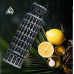Lattafa Pride Pisa EDP M 100 ml