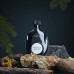 Riiffs Masculin Leather EDP M 100 ml