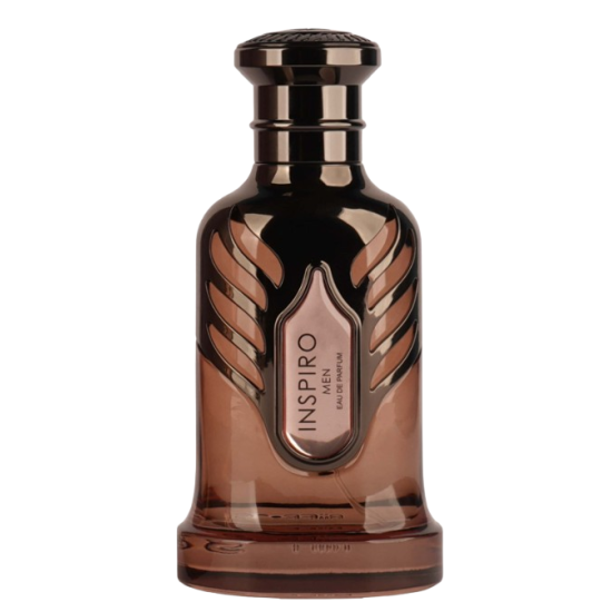 Riiffs Inspiro Men EDP M 100 ml
