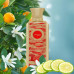 Zimaya Luxor EXP U 100 ml