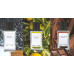 Fragrance World SALT EDP U 100 ml