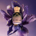 Maison Asrar Date Night EDP U 100 ml
