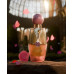 Paris Corner Pinkling EDP U 100 ml