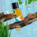 Autobiography Citron Vanille EDP U 65 ml