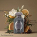 Lattafa Ra'ed Intensely EDP U 100 ml