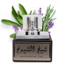 Lattafa Sheikh Al Shuyukh (Black) EDP U 50 ml