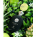 Paris Corner Opulentia Primus Emir EDP U 100 ml