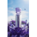 Al Wataniah Arya EDP W 100 ml