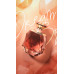 Rue Broca Touche Femme EDP W 100 ml