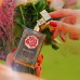 Maison Asrar Rose Absolute EDP W 110 ml