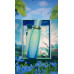 Paris Corner Fayora Oshino EDP W 100 ml